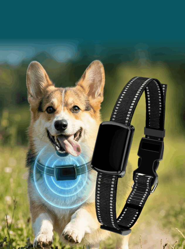 What is Furthrive GPS
