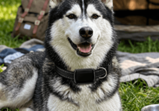Furthrive GPS customer - Mark S. Florida, USA
